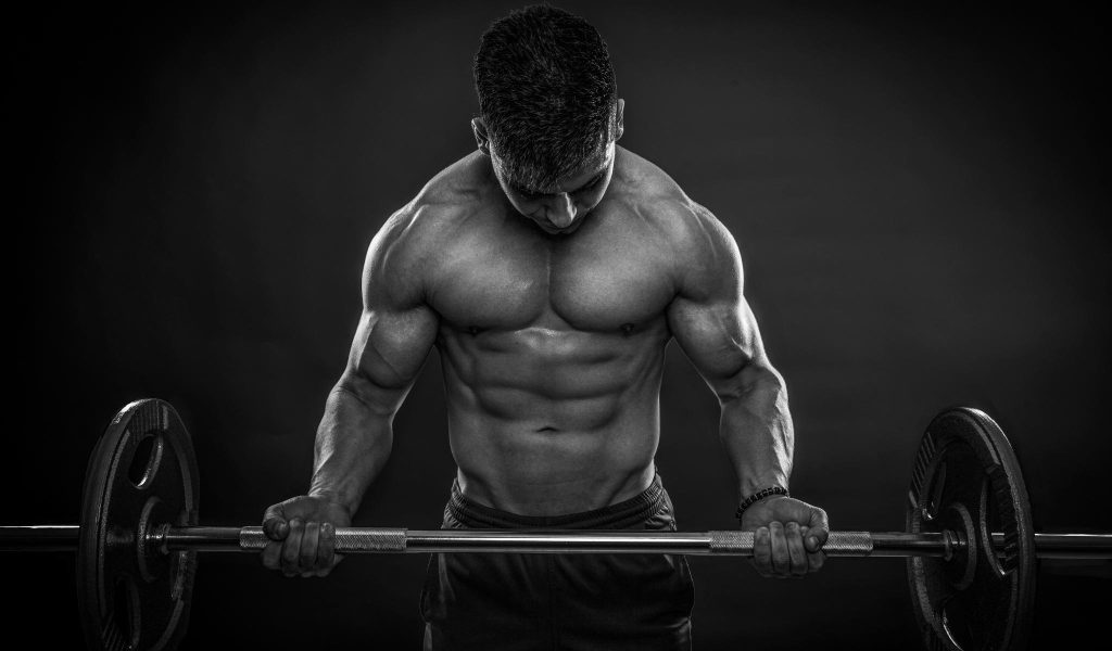 Muscle Building Exercises 1