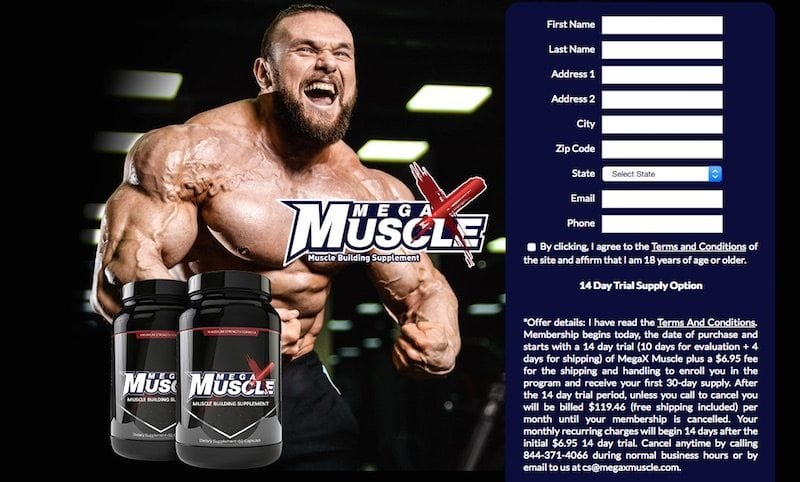 MegaX Muscle