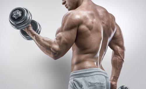 Our Ultimate Guide to Post Cycle Therapy - Why is PCT so important ...