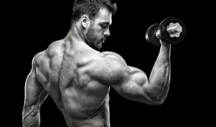 Gain Mass as a Hardgainer